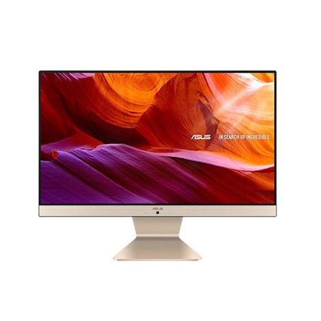 Máy bộ PC Asus All in One V222FAK-BA143W