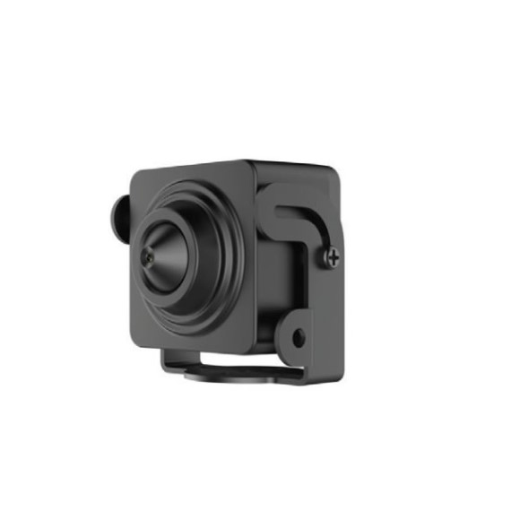 Camera IP ngụy trang 2.0 Megapixel HIKVISION DS-2CD2D21G0-D/NF 1