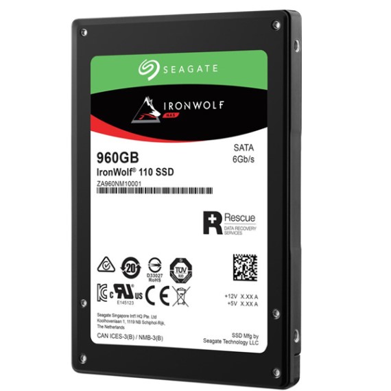 SSD 960GB Seagate IronWolf 110 Enterprise ZA960NM10011