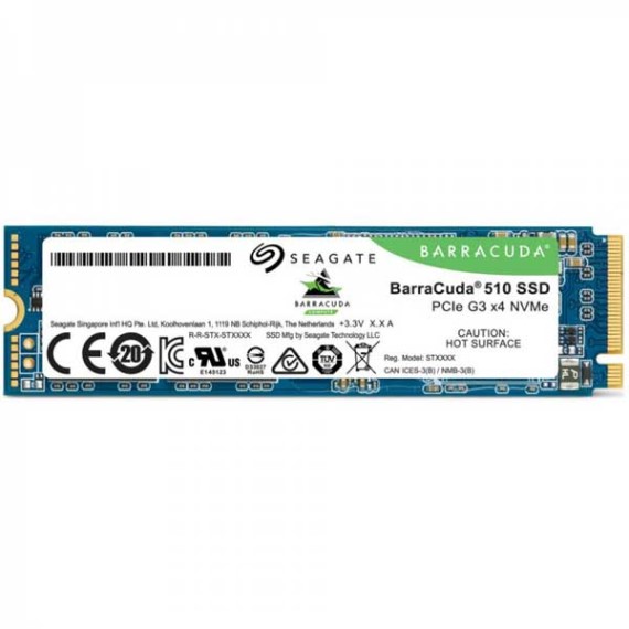 SSD 256GB Seagate Baracuda 510 (ZP256CM30041)