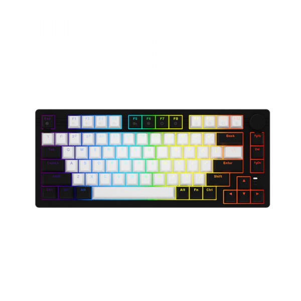 Bàn phím cơ Gaming Dareu EK75 (Trắng đen)